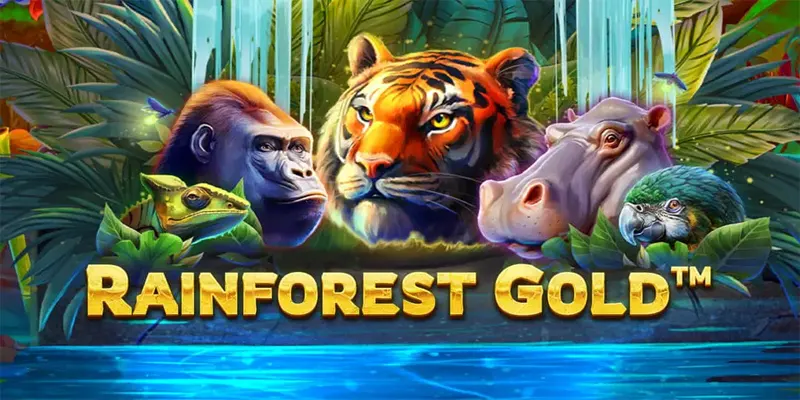 Rainforest Gold Slot: Complete Game Overview & Features